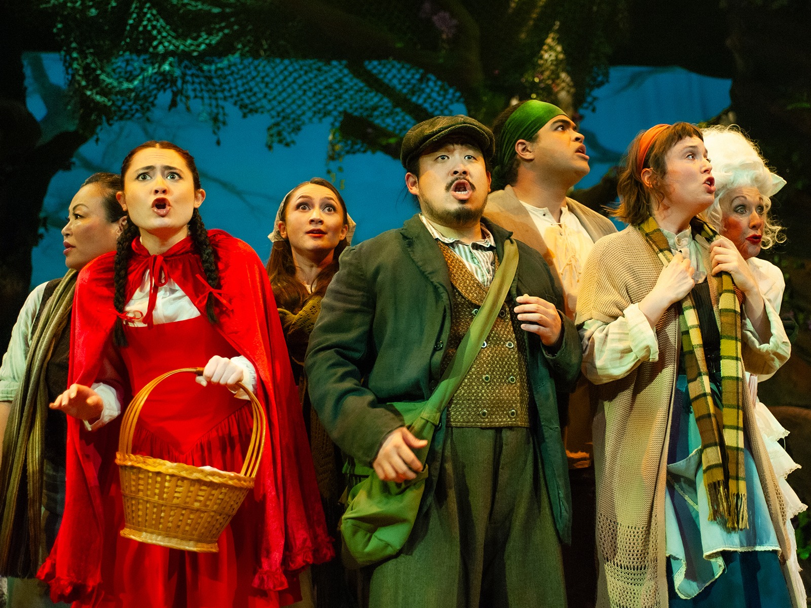 Into the Woods: What to expect - 1