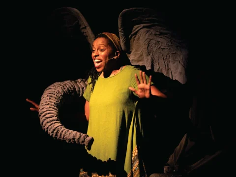 Production shot of Aanika's Elephants in New York, with Jimmica Collins as Aanika.