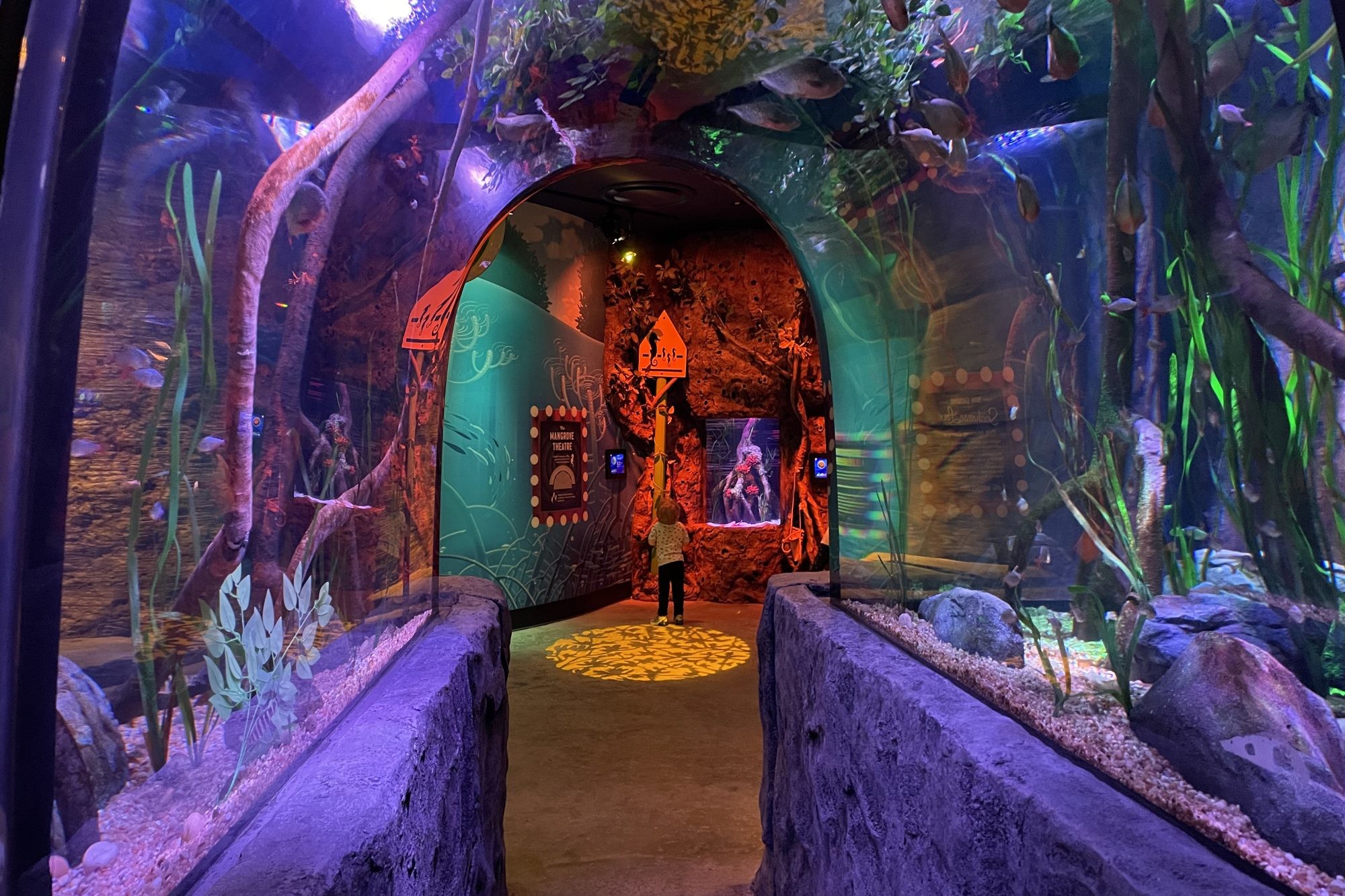 New Jersey SEA LIFE Aquarium: What to expect - 4