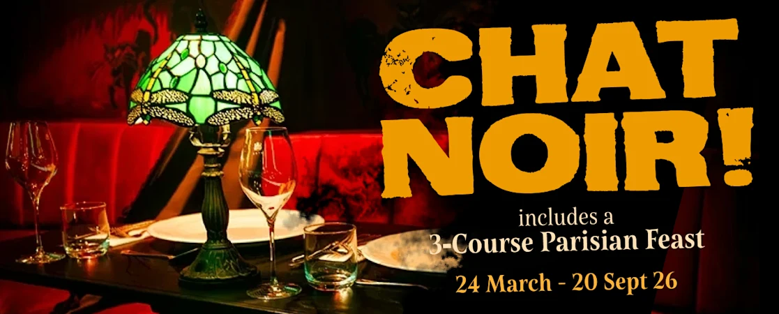 CHAT NOIR!