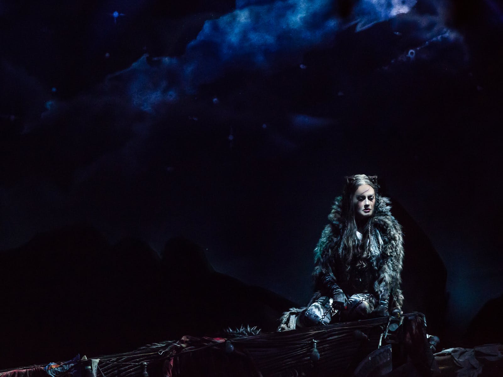 CATS: What to expect - 2