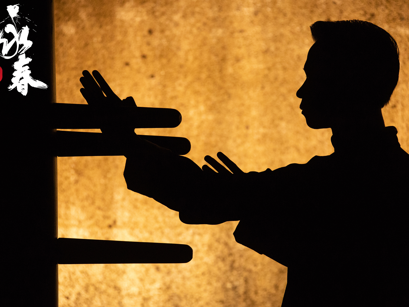 Wing Chun: What to expect - 1