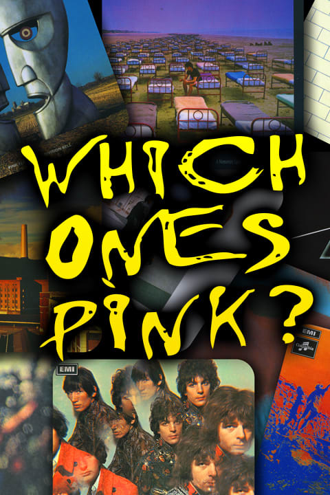 Pink Floyd Tribute by Which One’s Pink – Montclair