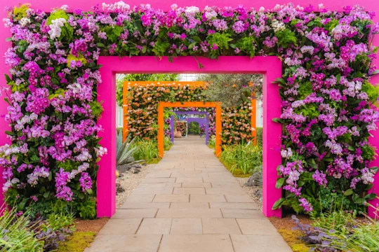 A pathway leads through colorful archways covered with vibrant purple, orange, and pink flowers, surrounded by lush greenery.