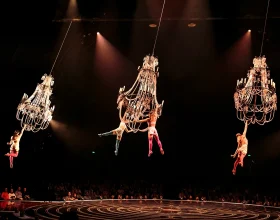Cirque du Soleil: Corteo: What to expect - 5