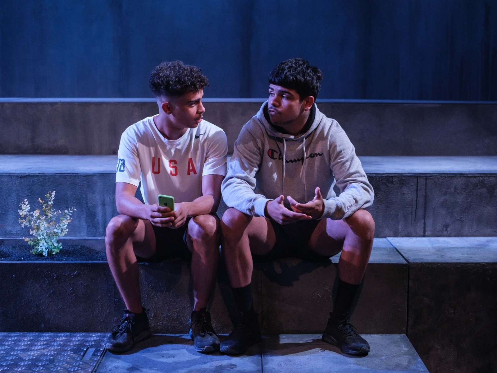 Saplings : What to expect - 3