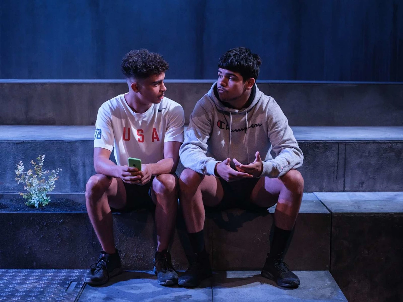 Saplings : What to expect - 3