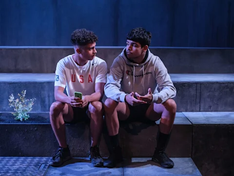 Saplings : What to expect - 3