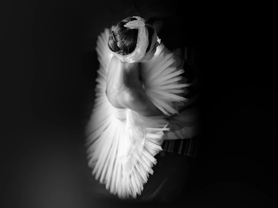 Ballet Icons: What to expect - 1
