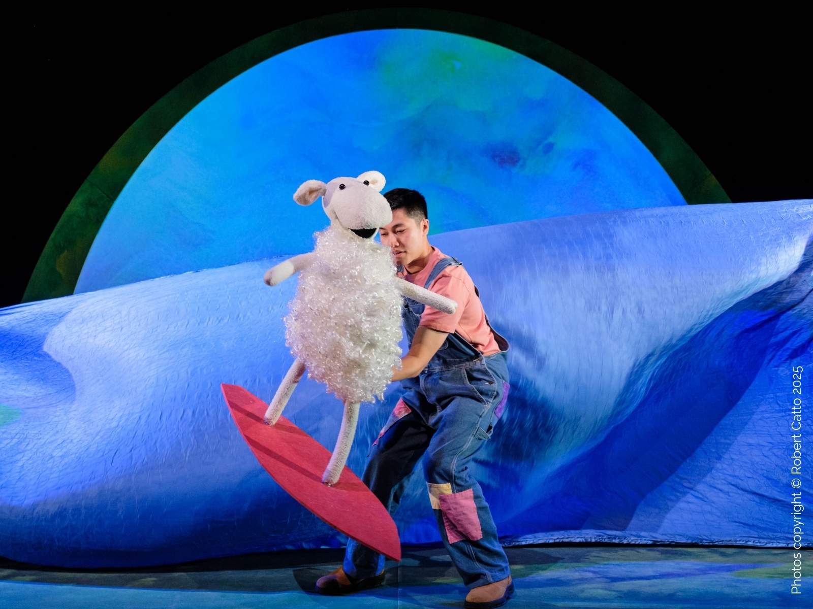 Where is the Green Sheep?: What to expect - 3