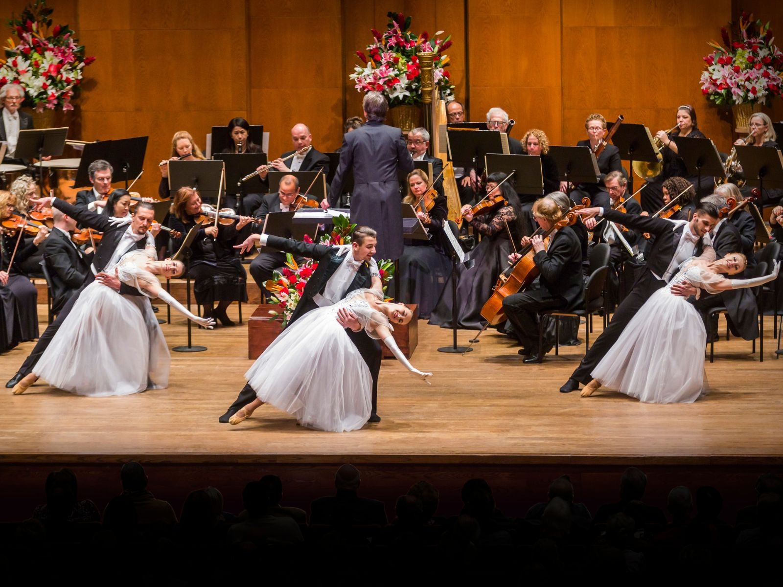 Salute to Vienna New Year's Concert: What to expect - 1