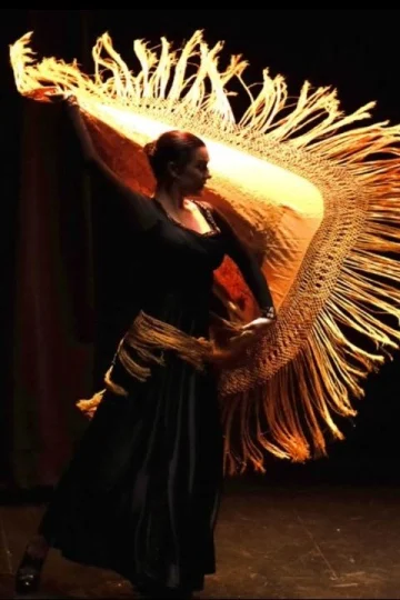 Flamencodanza Tickets