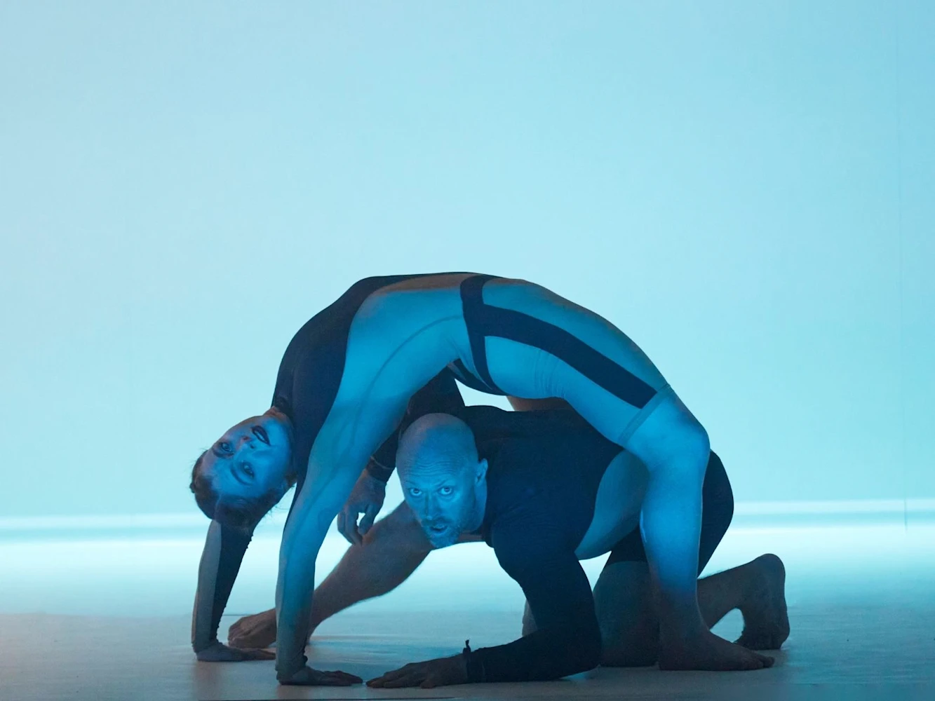 Wolf: What to expect - 2