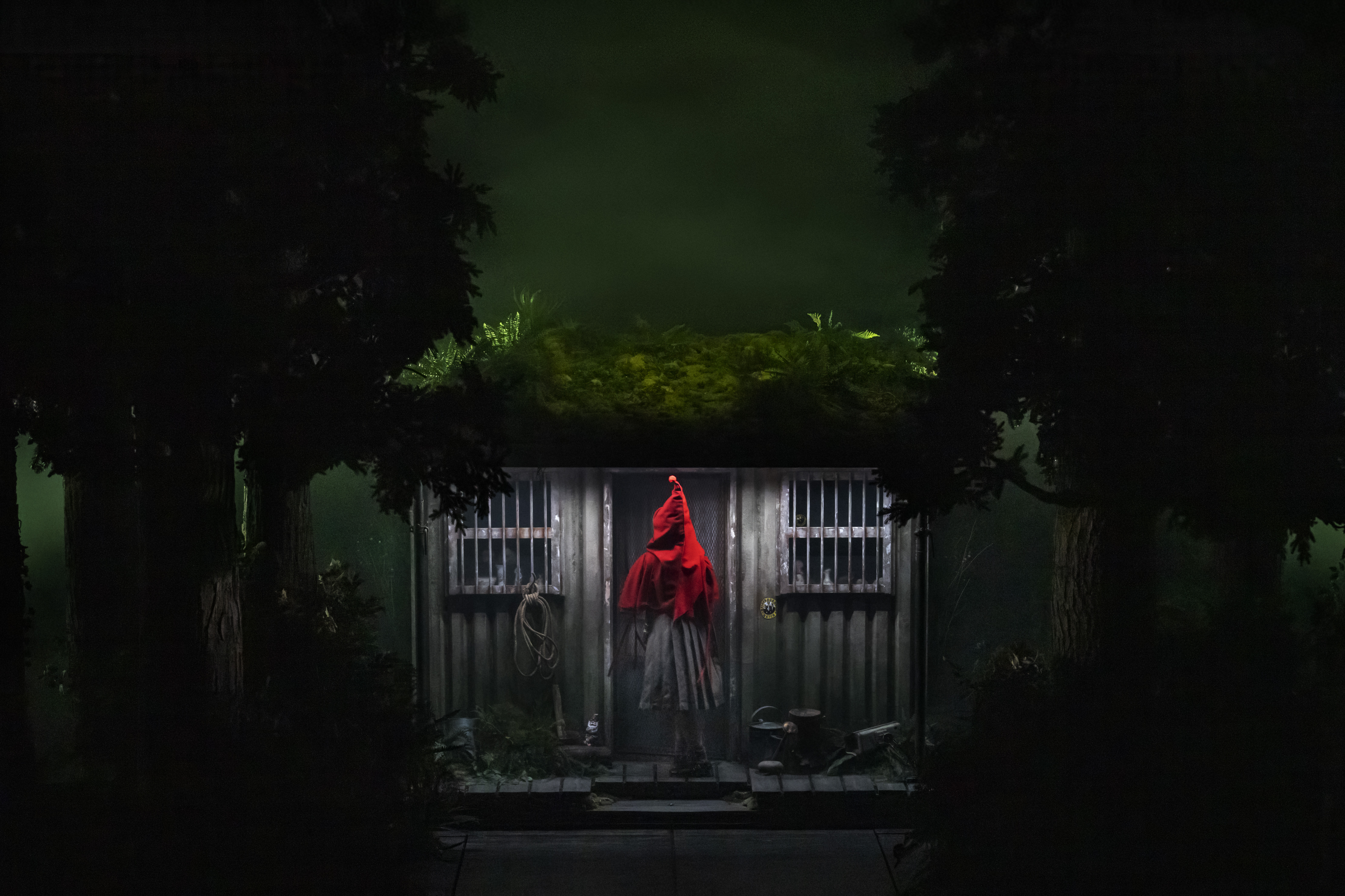 Into The Woods: What to expect - 1