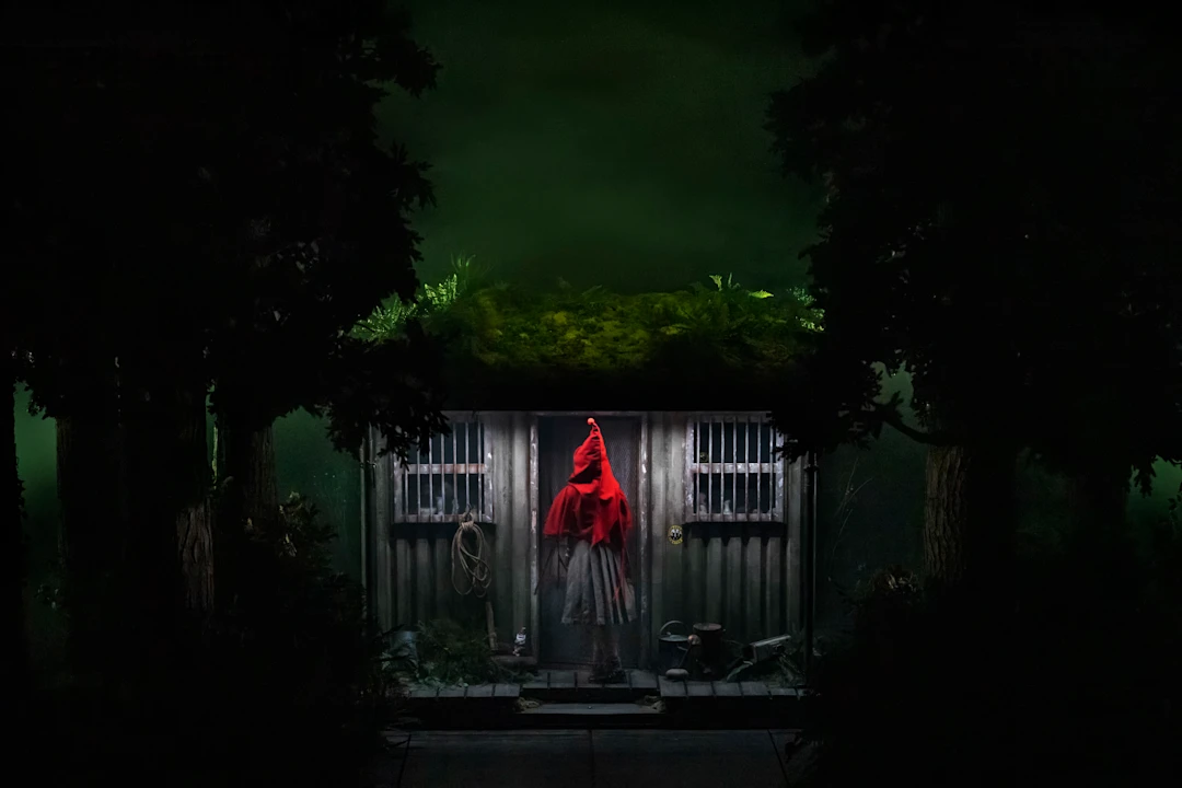 Into the Woods: What to expect - 1