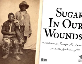 Sugar in our Wounds: What to expect - 5