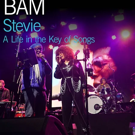 Stevie: A Life in the Key of Songs