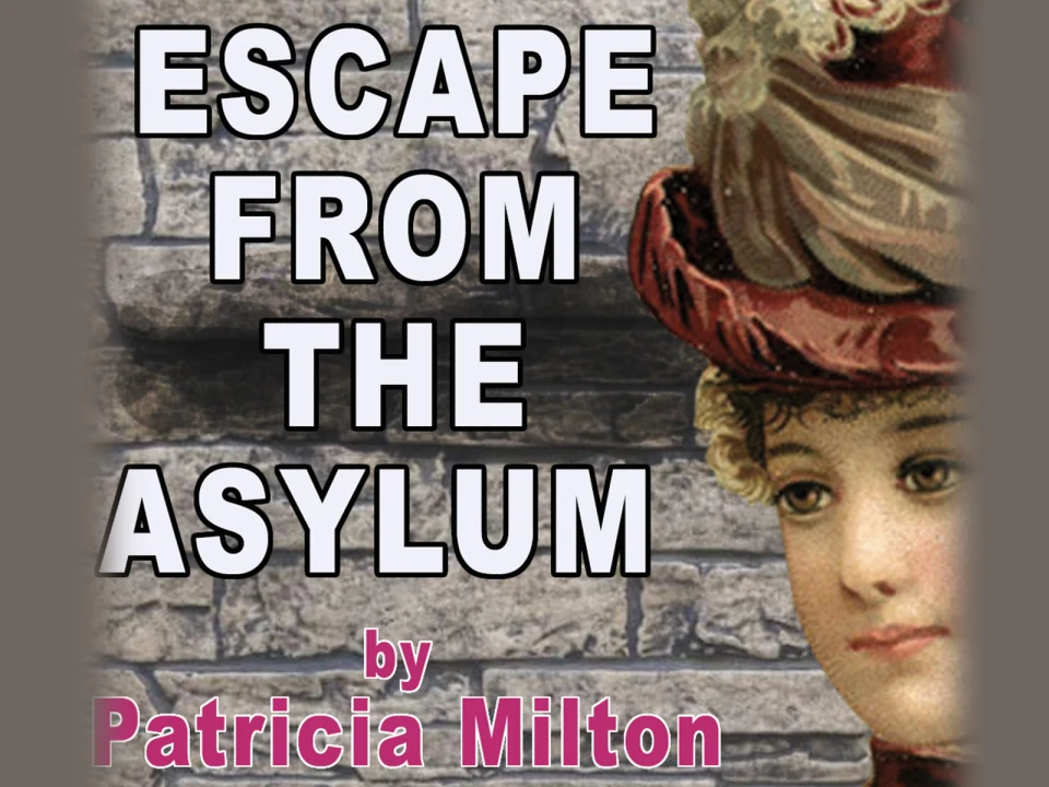 Escape from the Asylum: A Madcap Mystery: What to expect - 1