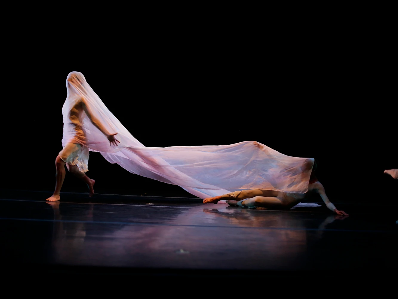 Exploring the Underworld: The Limón Dance Company at Green-Wood: What to expect - 3