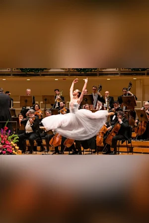Salute to Vienna New Year’s Concert tickets
