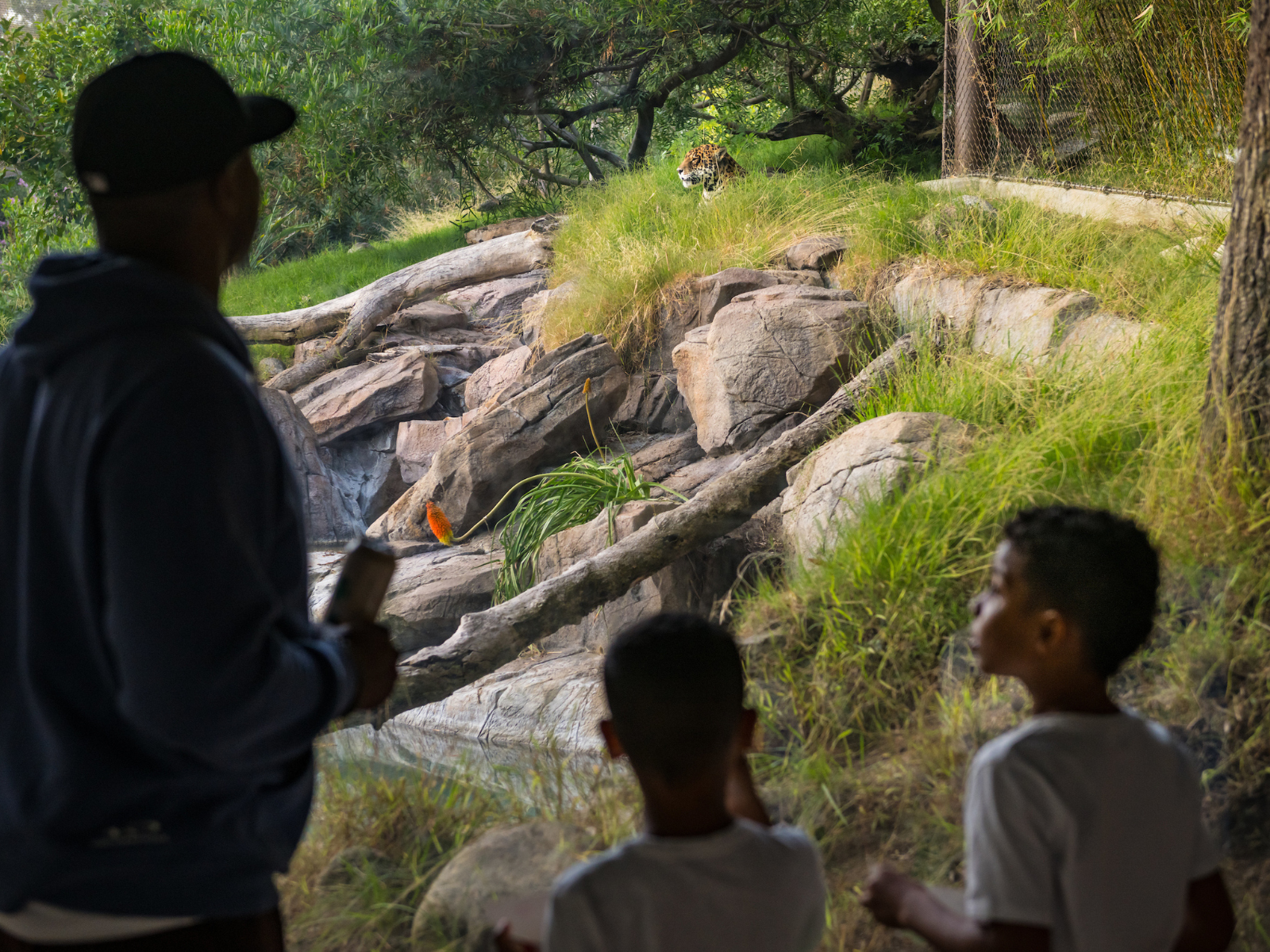 Zoo Friday Nights: What to expect - 4