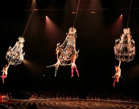 Cirque du Soleil: Corteo: What to expect - 2