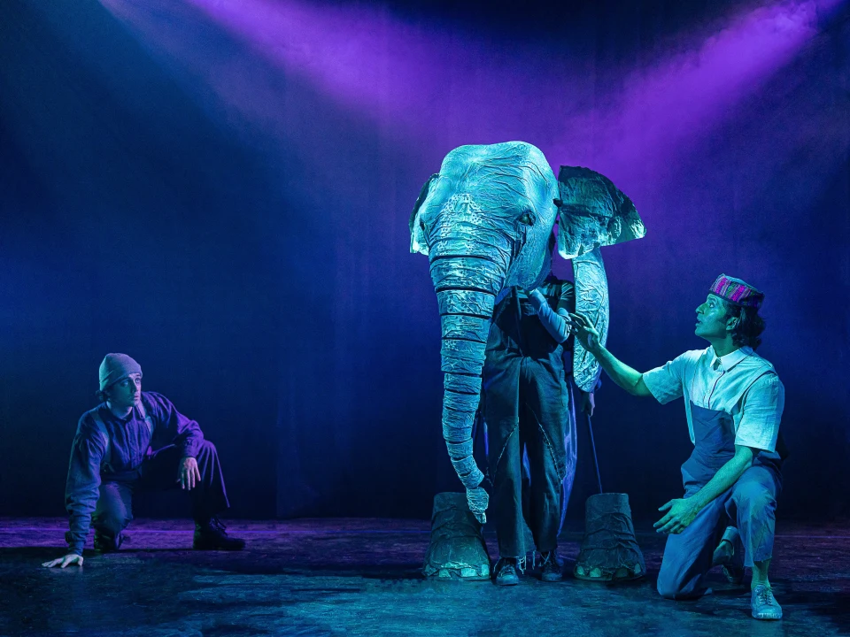 Two men kneeling near an elephant in purple lighting.