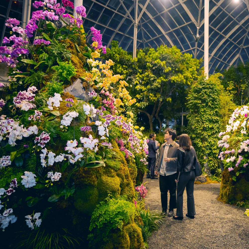 The Orchid Show at New York Botanical Garden: What to expect - 7