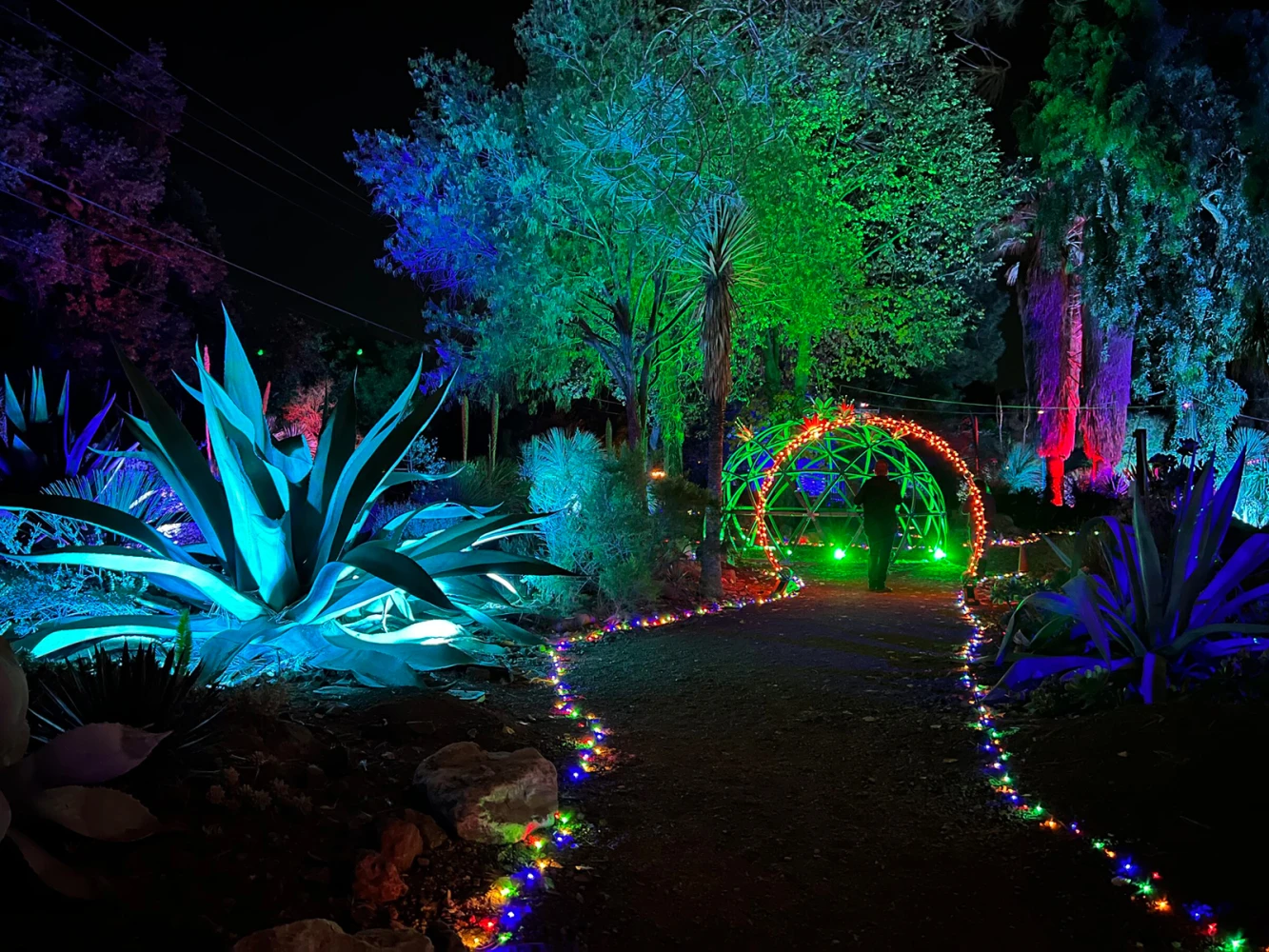 Garden of D’Lights: What to expect - 2