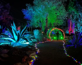 Garden of D’Lights: What to expect - 2