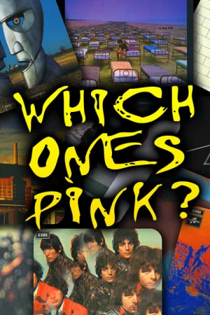 Pink Floyd Tribute by Which One’s Pink