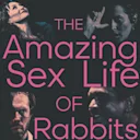 The Amazing Sex Life of Rabbits
