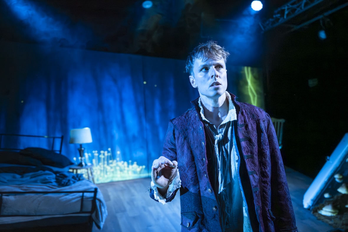 It Walks Around The House At Night: What to expect - 3