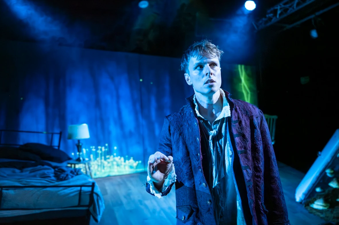 It Walks Around The House At Night: What to expect - 2