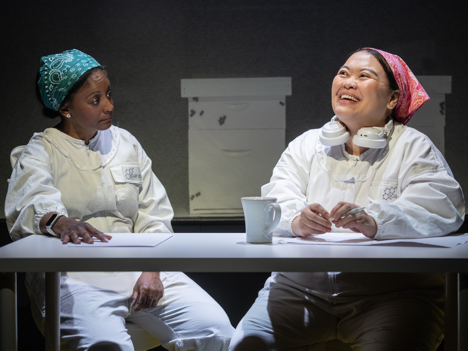 The Apiary: What to expect - 4