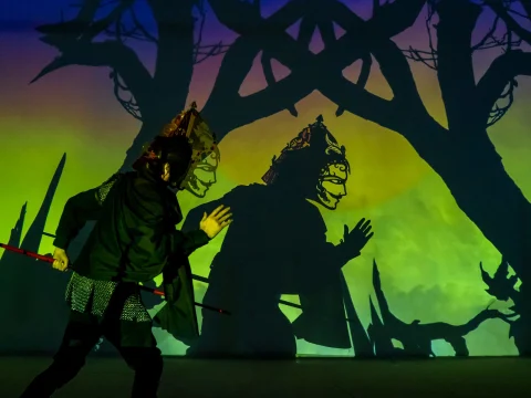 A performer in dark clothing and a crown-like headpiece acts in front of a brightly lit backdrop, casting a shadow that depicts a character and a tree, creating a mystical forest scene.