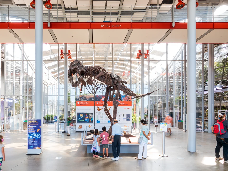 California Academy of Sciences With Steinhart Aquarium Admission: What to expect - 1