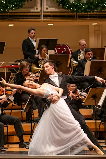 Salute to Vienna Tickets