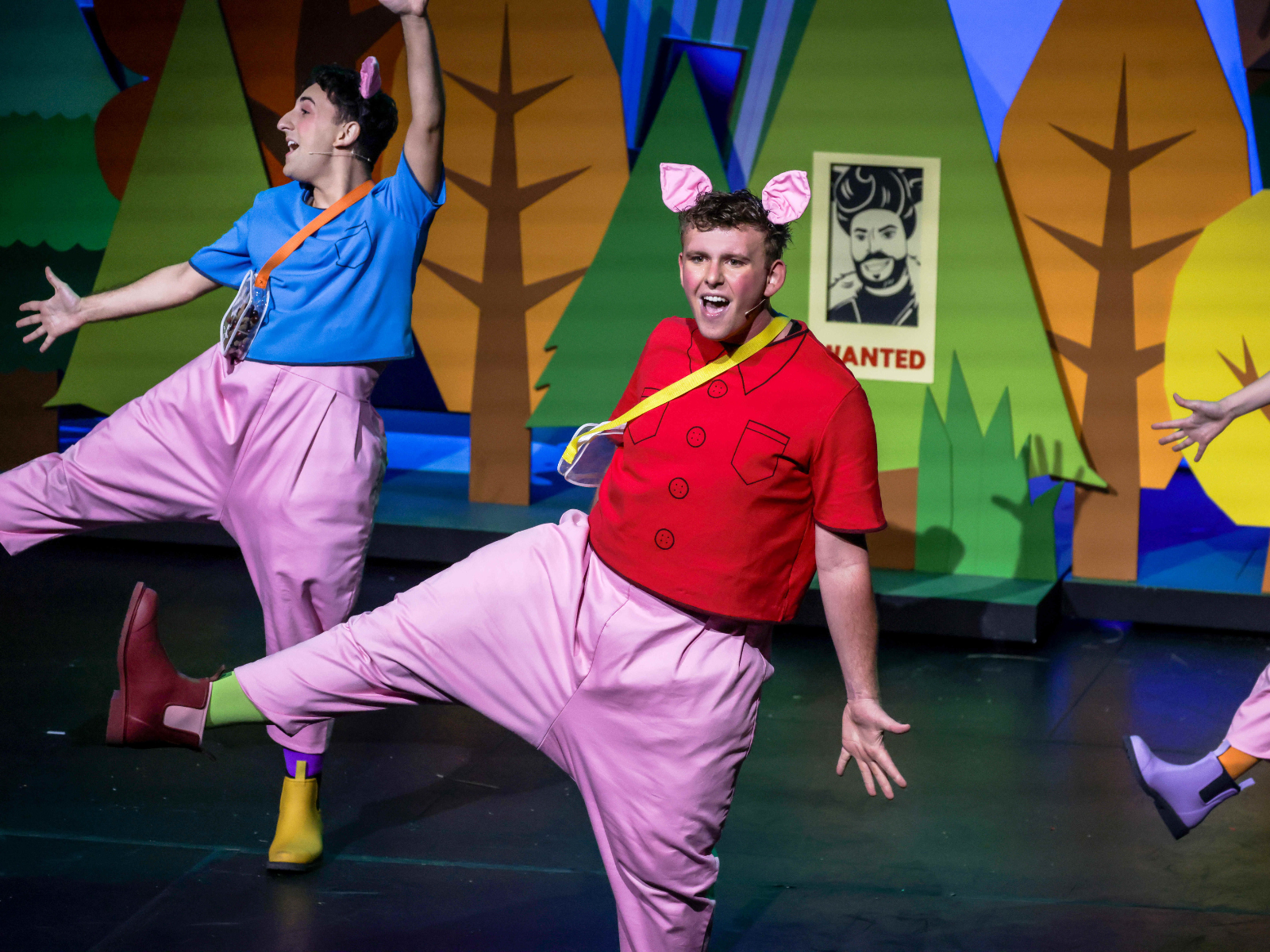 The 3 Little Pigs: What to expect - 4
