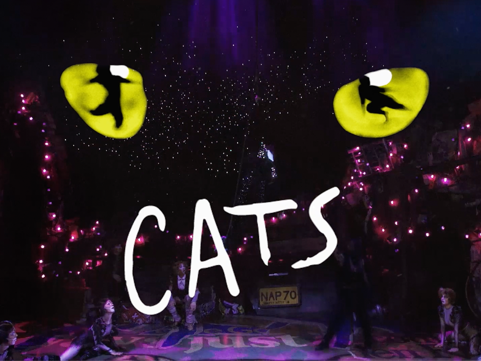 CATS: What to expect - 1