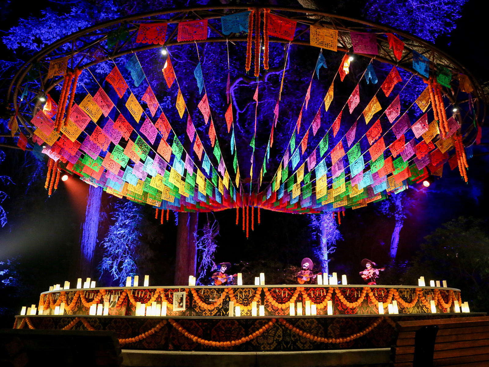 Carved: What to expect - 5