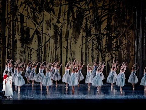 A large group of ballerinas in white tutus perform on stage in front of a forest backdrop, while a few people stand to the left observing.
