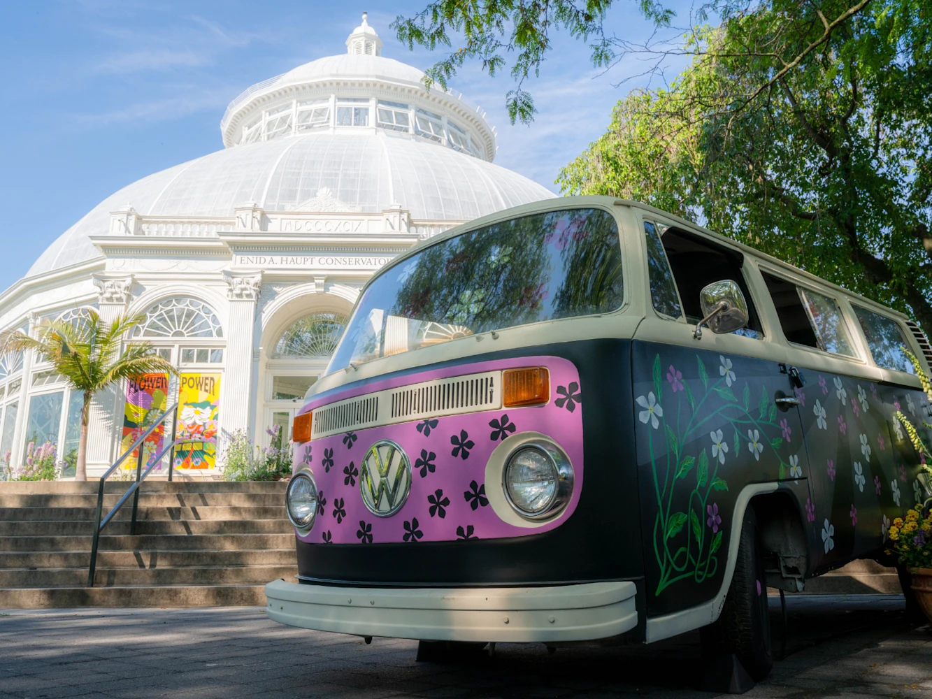 Flower Power: What to expect - 8