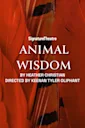 Animal Wisdom