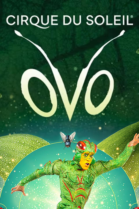 Cirque du Soleil’s OVO show poster