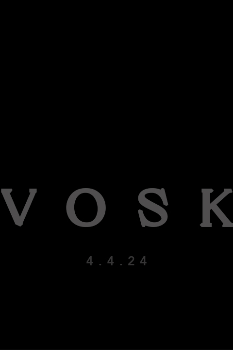 VoskPoster