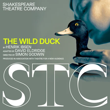 The Wild Duck