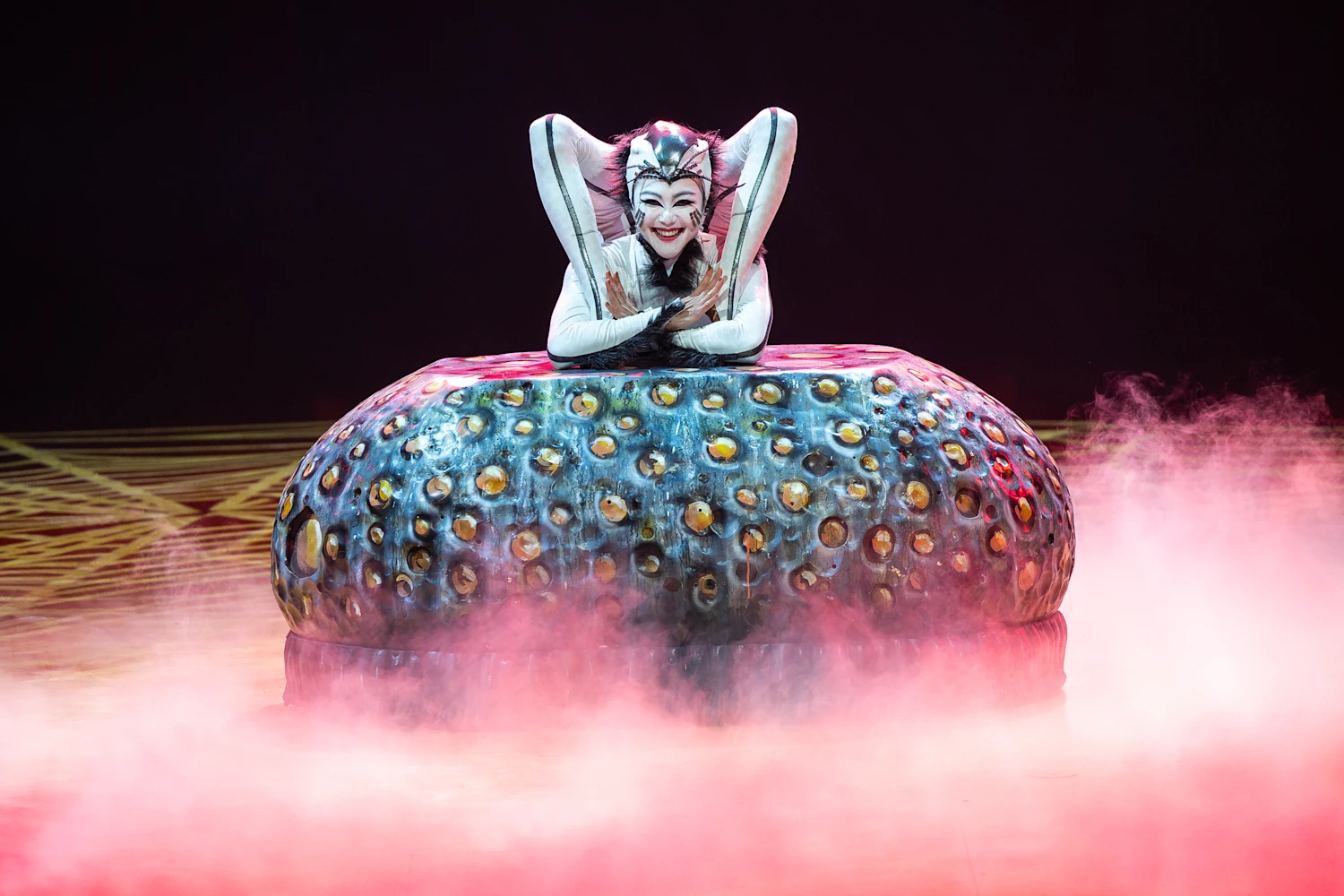 Cirque du Soleil - Ovo: What to expect - 1