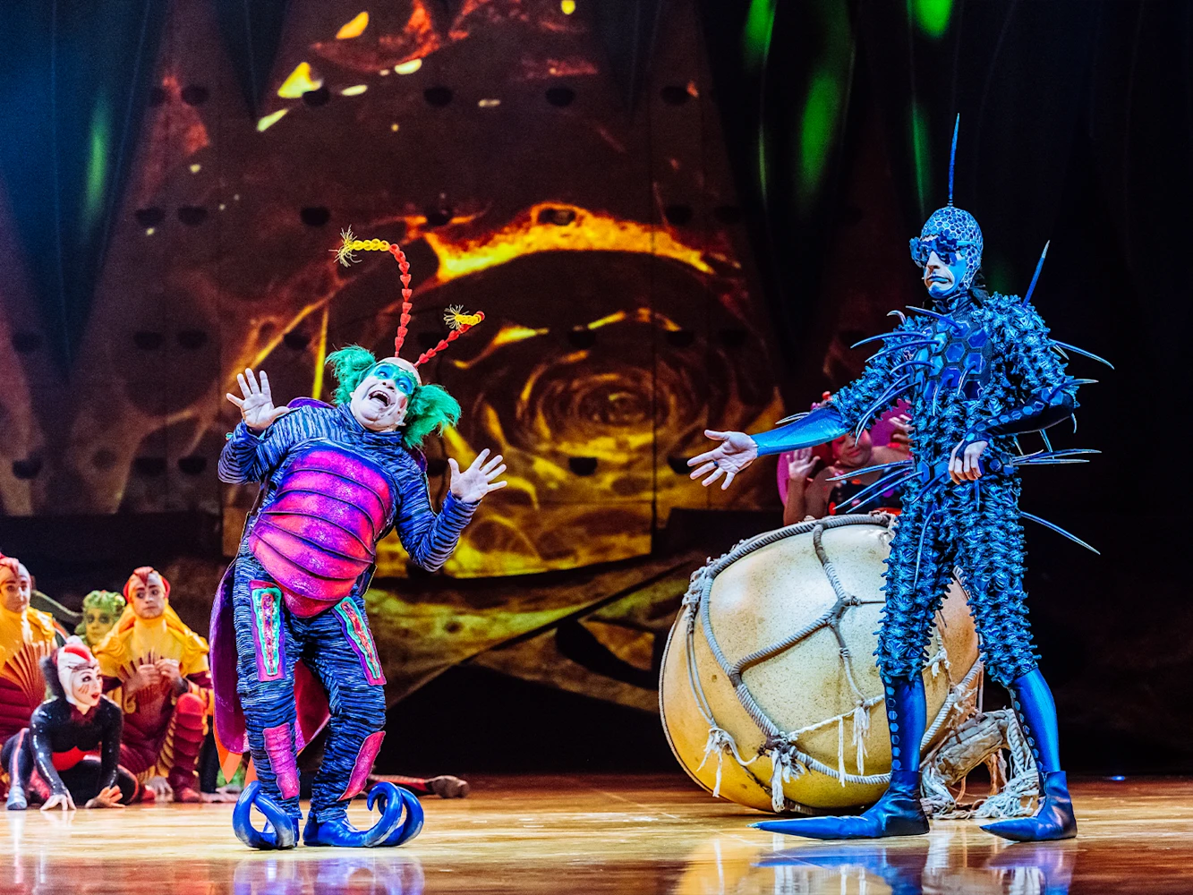 Cirque du Soleil - Ovo: What to expect - 3