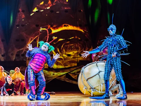 Cirque du Soleil - Ovo: What to expect - 3